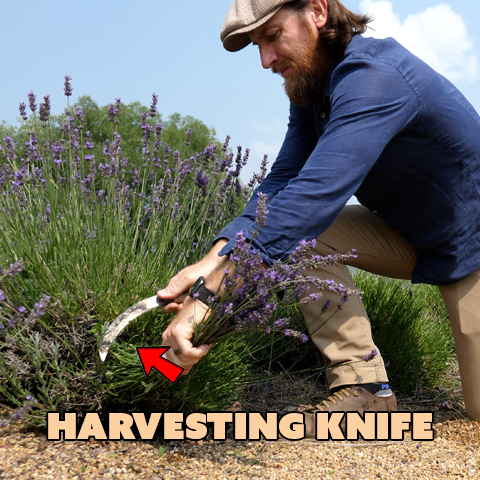 Harvesting Knife