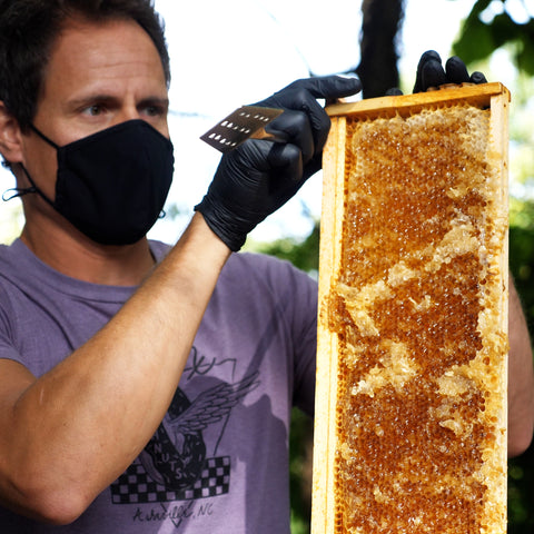 a real honeycomb we used to make our honey cider with