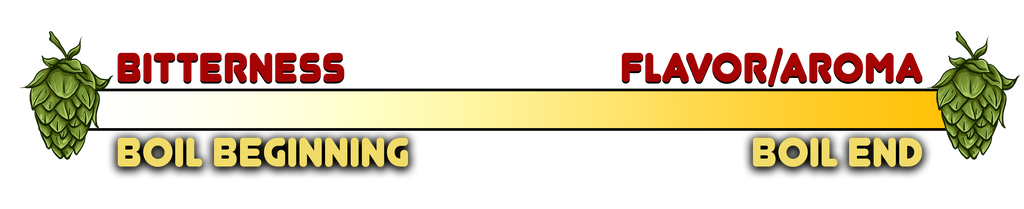 hop graphic - hops added at the beginning of the boil contribute bitterness while hops added at the end contribute aroma and flavor