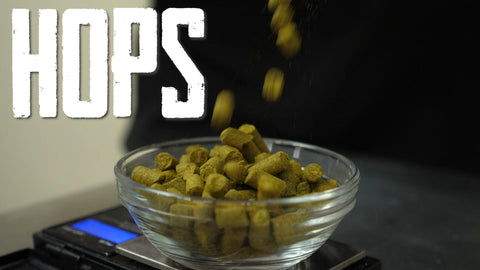 hops falling into a small bowl 