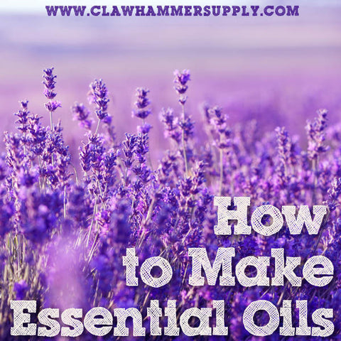 How to make essential oils