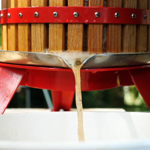 juice flowing out of apple press