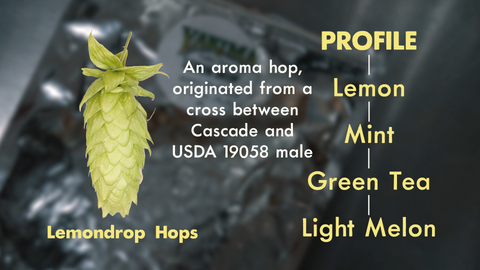 lemondrop hop info