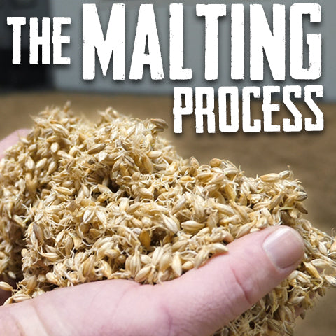 malting_process_riverbend_malt_house