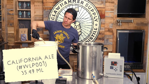 pitching California Ale Yeast