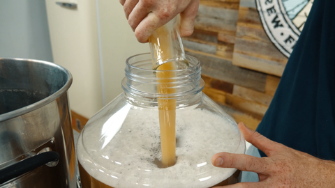 pitching yeast starter