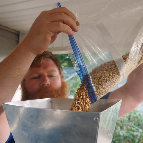 pouring grain into a grinder to crush it