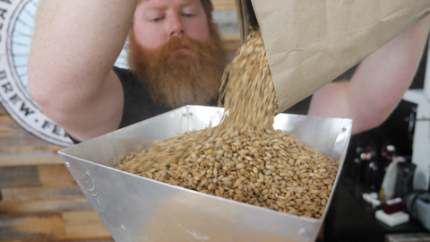 pouring malt into grinder