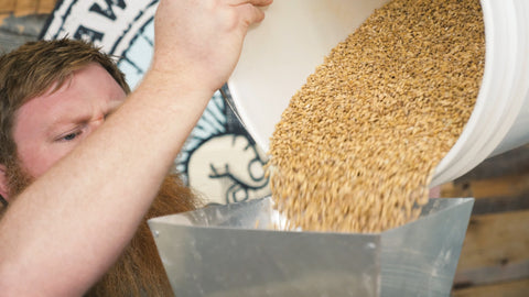 pouring pilsner malt into a grinder