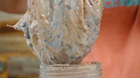 removing freeze dried blueberries from the fermenter