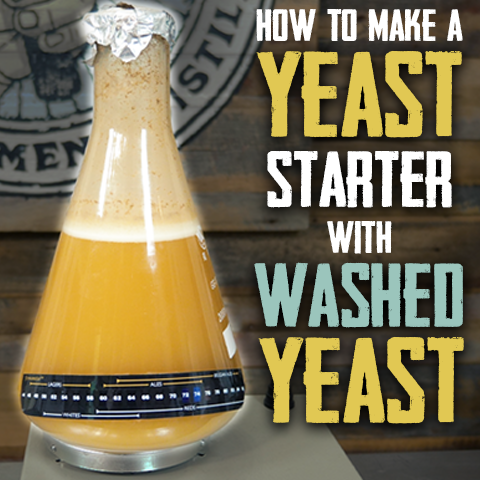 How to make a yeast starter with washed yeast tutorial