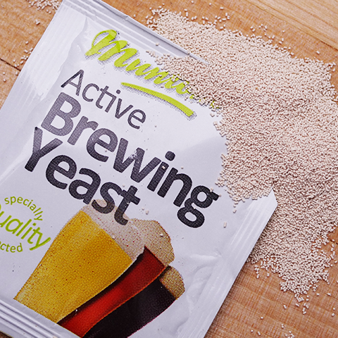 Active Brewing Yeast