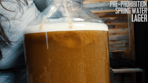 yeast floating in wort