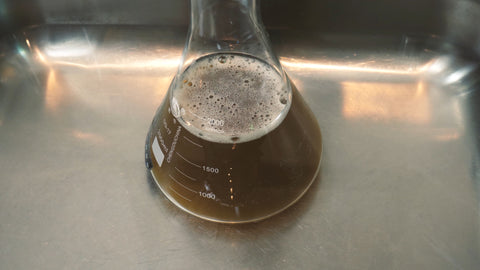 cooling erlenmeyer flask filled with dry malt extract solution down using a sink filled with cold water