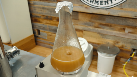 yeast starter on a stir plate 