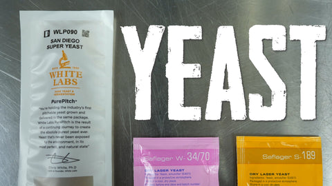 liquid and dry yeast packets