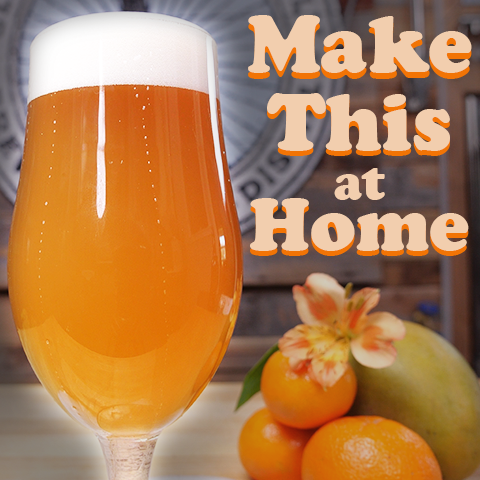 How to Make Beer at Home - Beginner's Guide