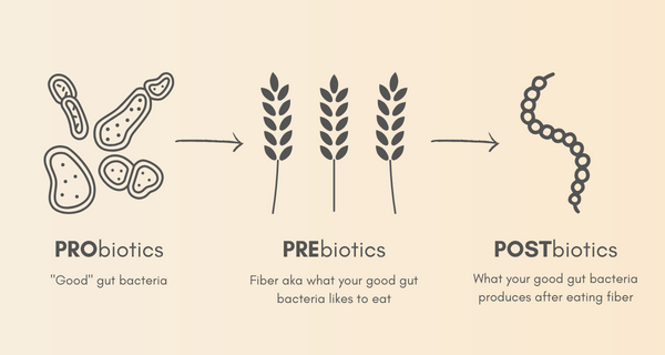 The link between probiotics, prebiotics, and postbiotics