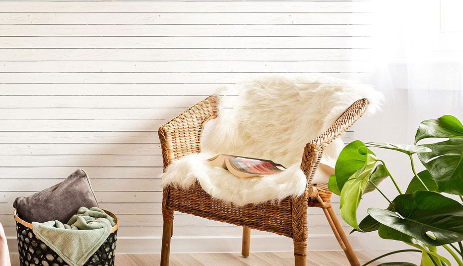 A verdant plant contrasting with white shiplap wallpaper.