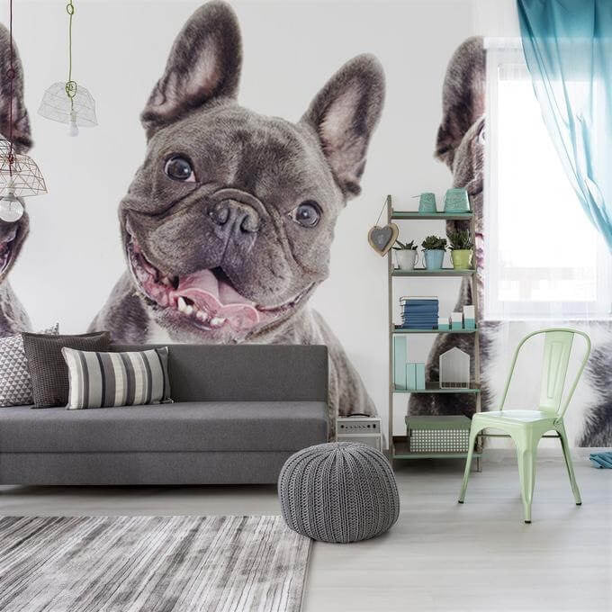 Dog Themed Room Decor, Dog Wallpaper