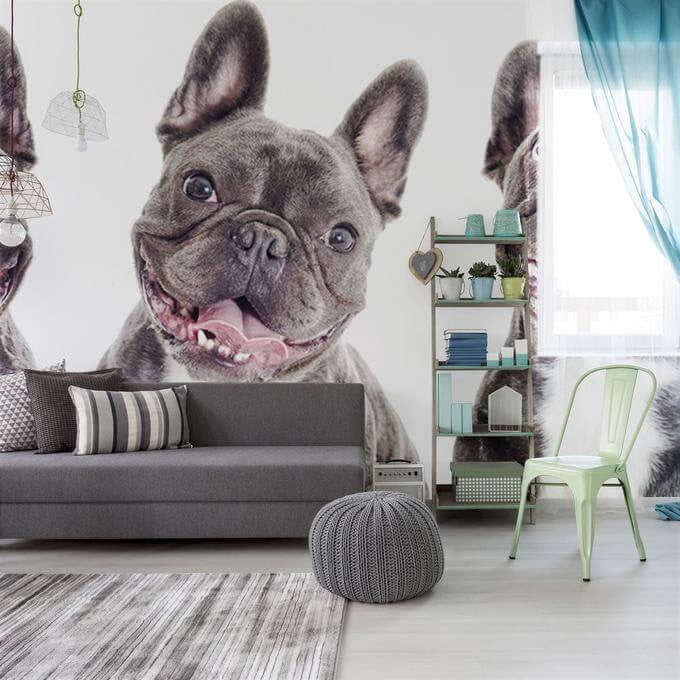 https://cdn.shopify.com/s/files/1/0054/6943/7986/files/wall-sized-dog-mural.jpg?v=1612327221