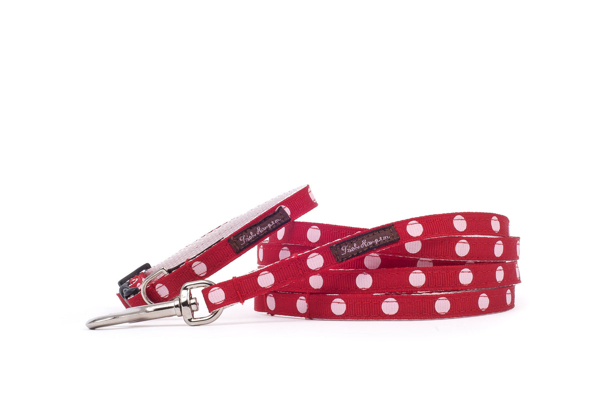 Red/White Dots XS Mini Dog Collar by Trish Hampton