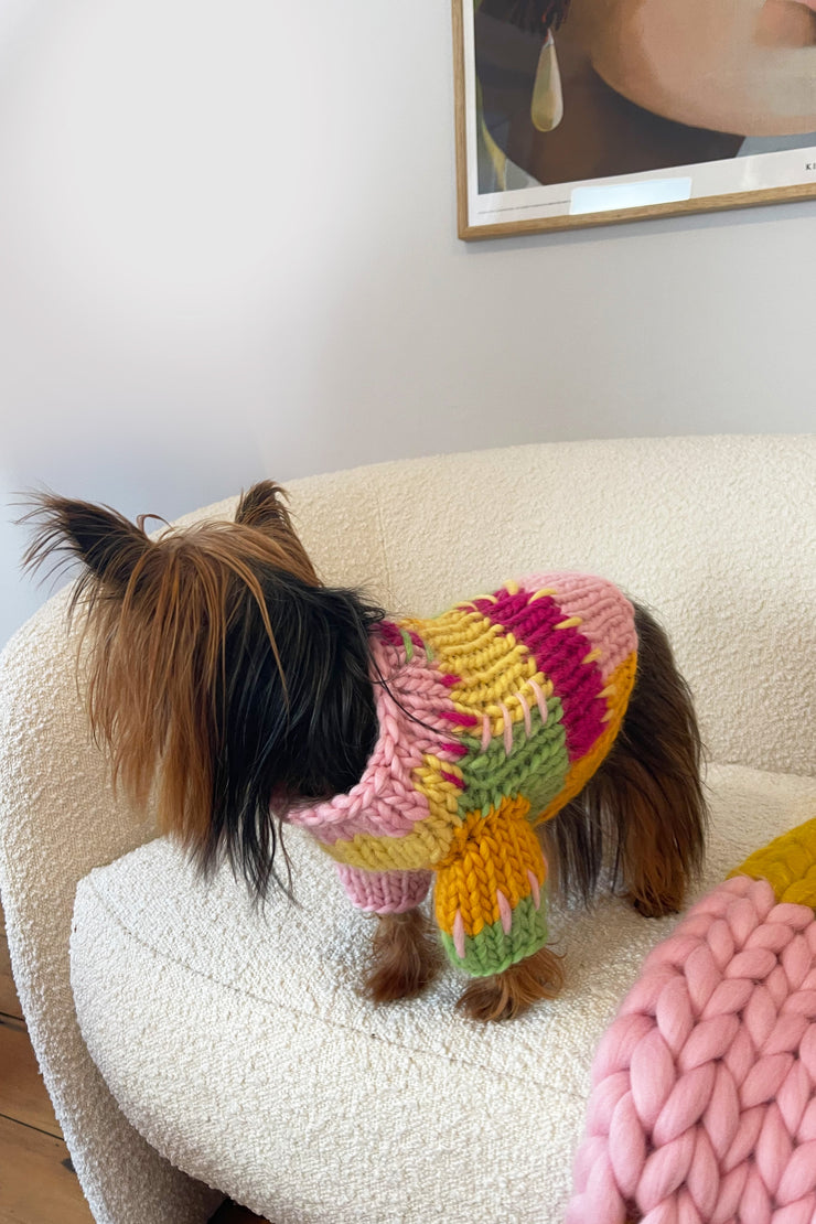 chunky knit dog sweater