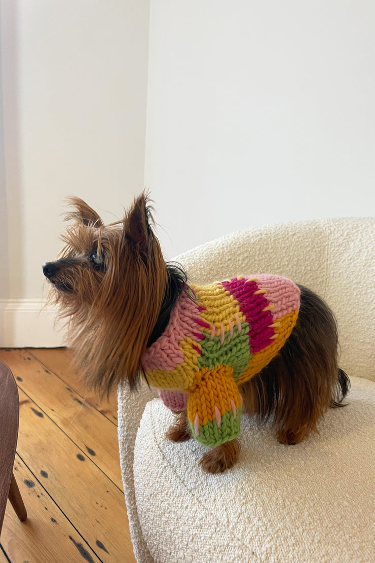 chunky knit dog sweater