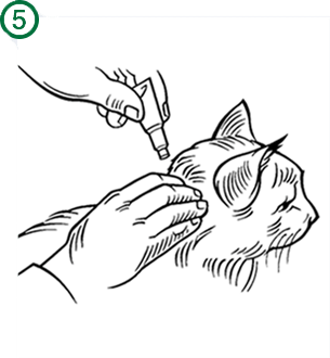 Bayer - Advantage II - Topical Flea Treatment for Cats