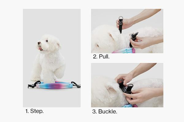 pidan - Pet Harness for Dog