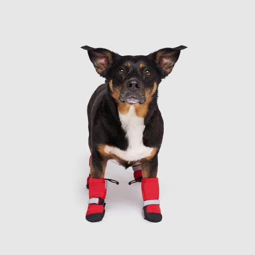 Anti-Slip Slouchy Socks for Dogs