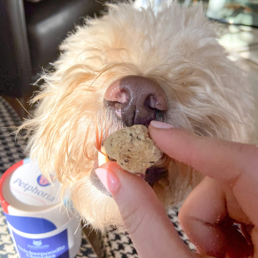Snickerpoodle Chewies Dog Treats