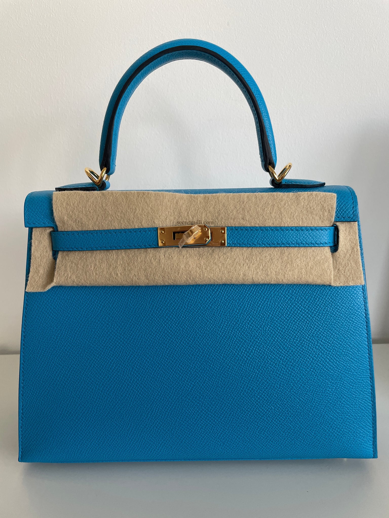 blue frida hermes kelly