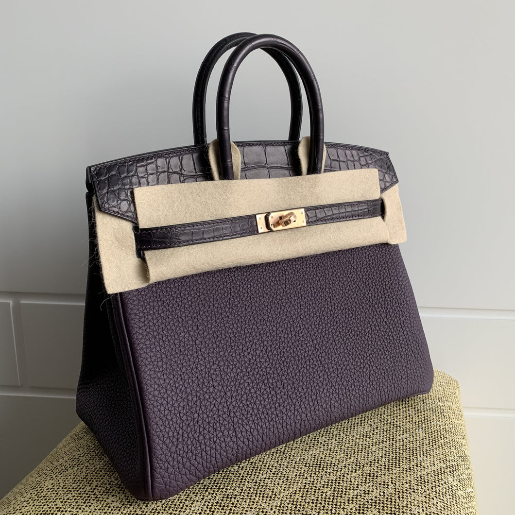 hermes birkin touch 25