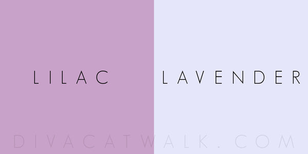 What is the difference between lilac and lavender? - Quora