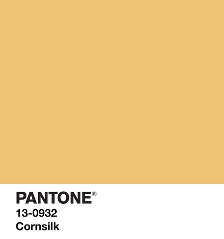 patone colour swatch with shade 'cornmilk' displayed and text describing the colour.