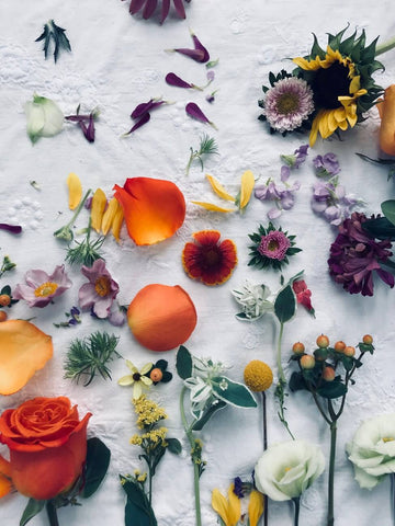 flowers on a white background 