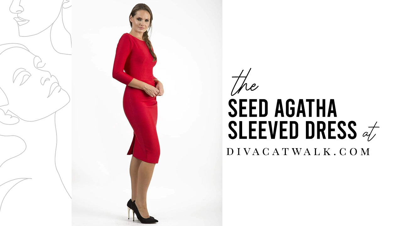 pictured is a woman wearing the Seed Agatha Sleeved Dress from Diva Catwalk.