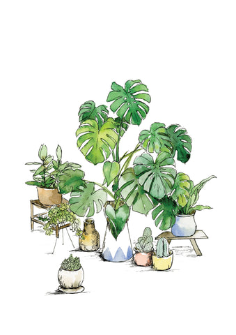 Watercolour Art print of Monstera plant with assorted little house plants, by For My Dearest.