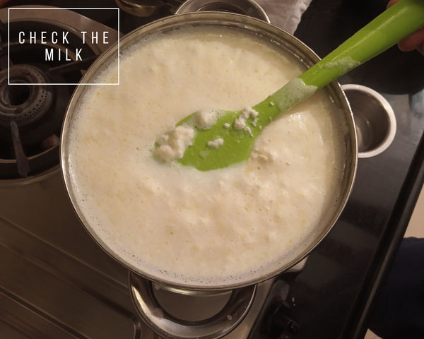 Make Homemade Paneer - Step 3