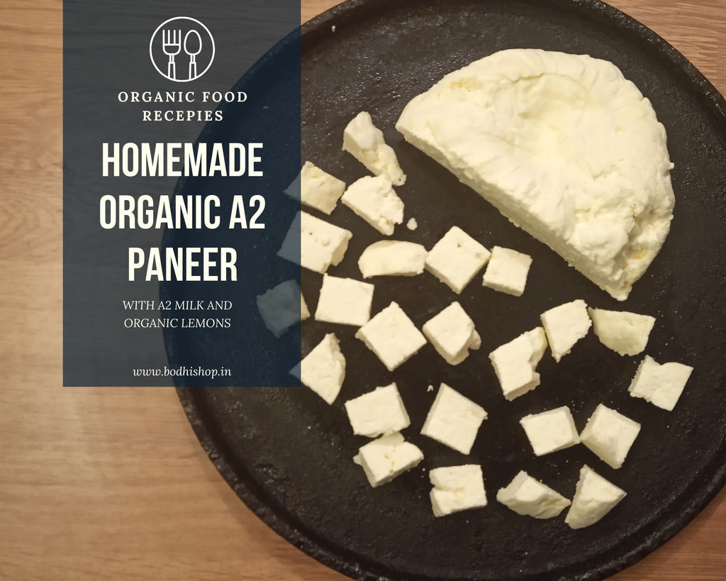 How to Make Organic Paneer