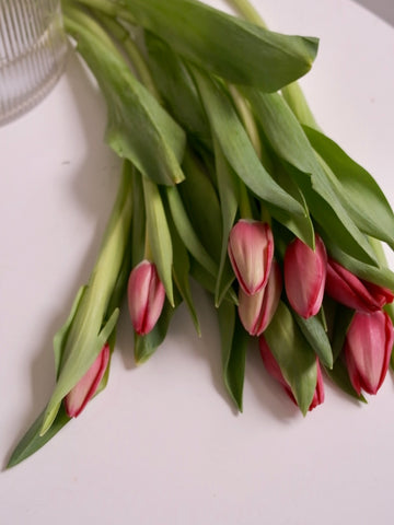 tulip bunches 