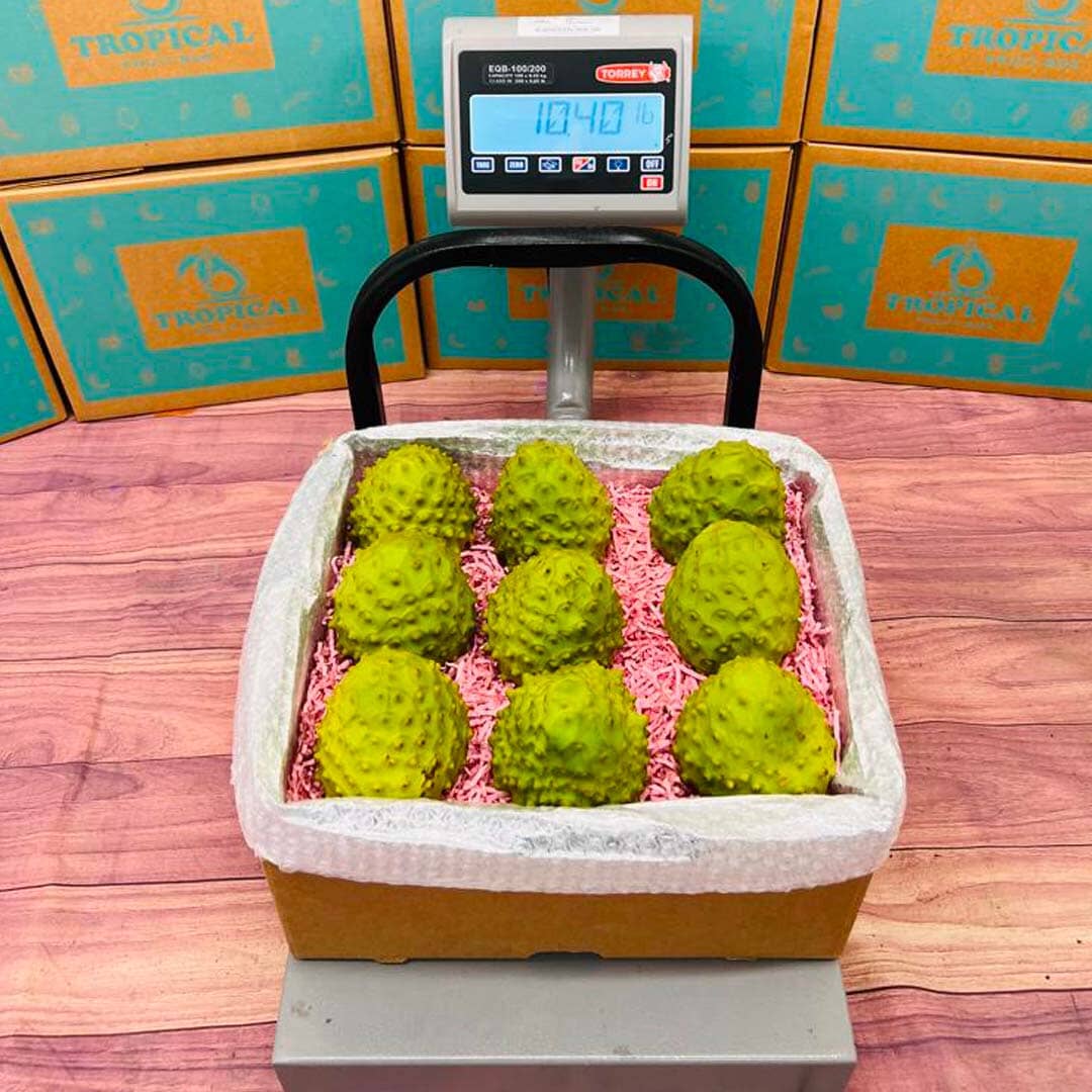 Cherimoya Fruit (Custard Apple) Box