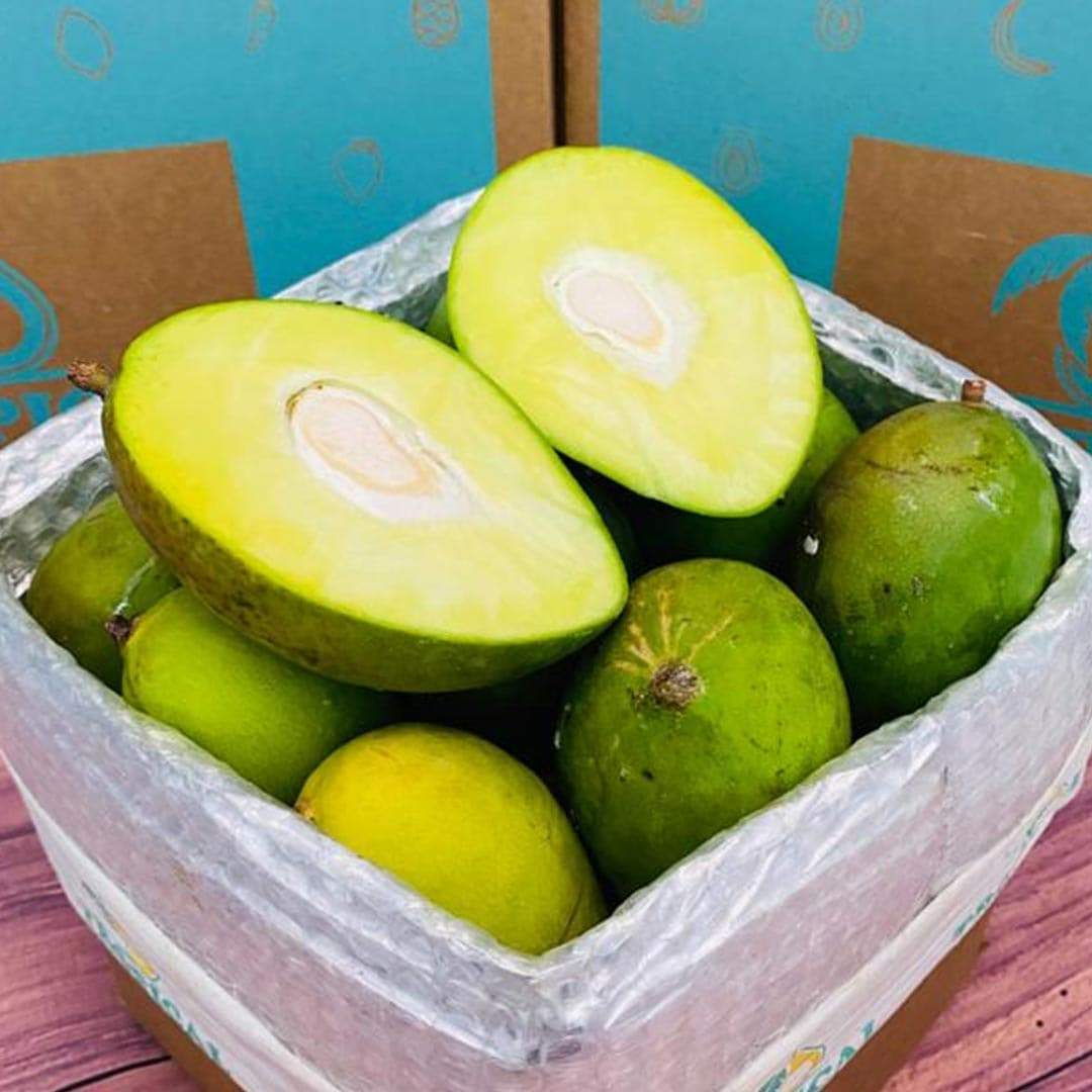 Green Mango Box  Order your box of fresh green mangos online