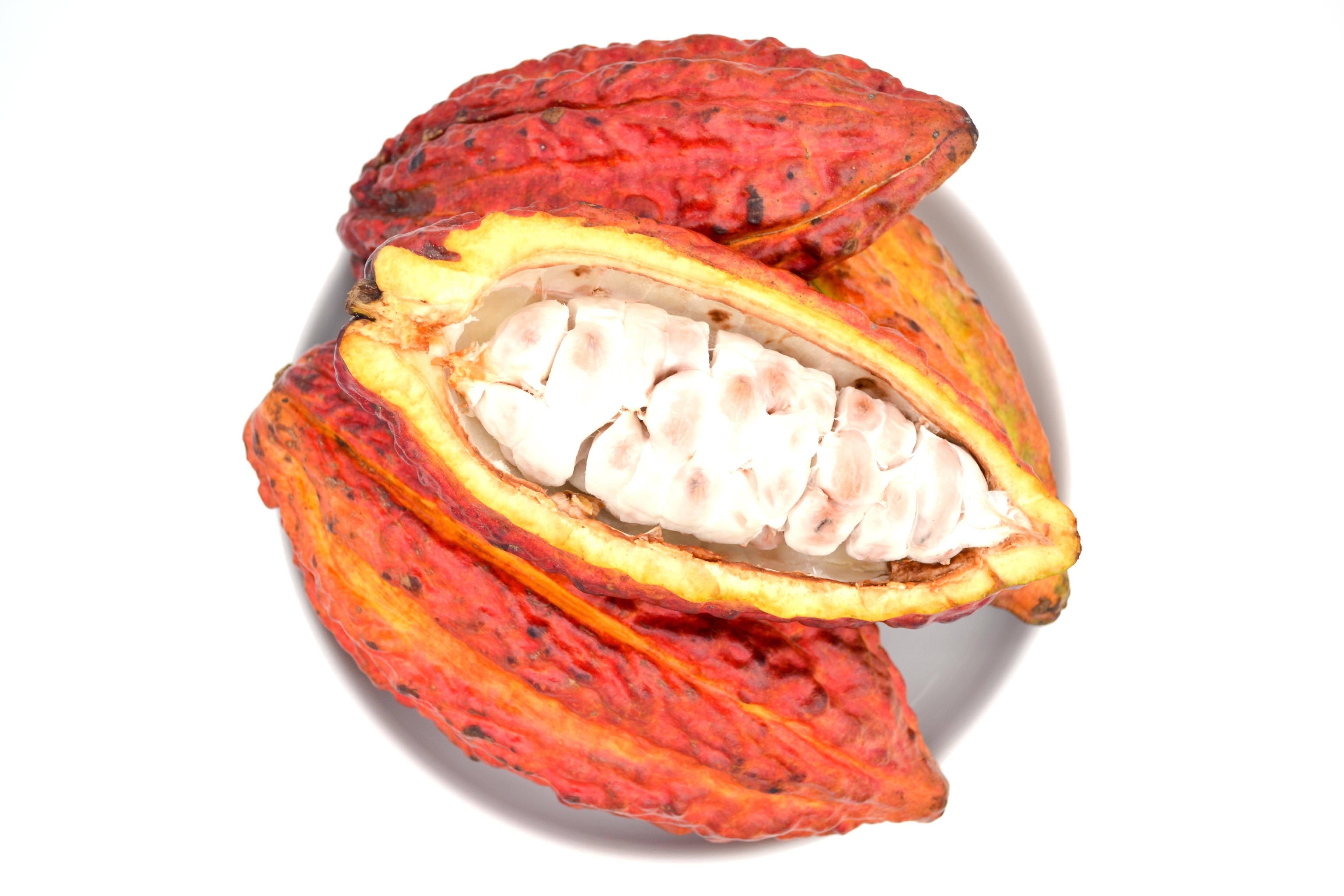 Buy Organic Cacao Pod Gmo Free Delivered To Your Door Fruits N Rootz