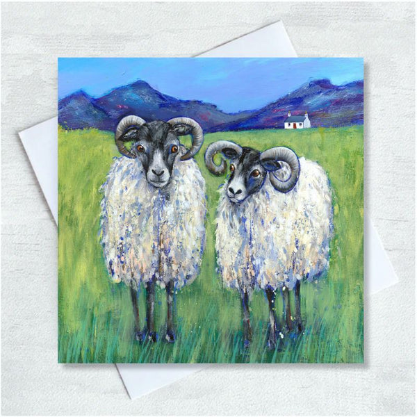 A greetings card featuring a painting of two black headed sheep.