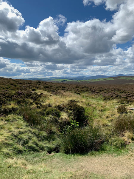 Cateran Hole, Chillingham Northumberland Hidden Gems