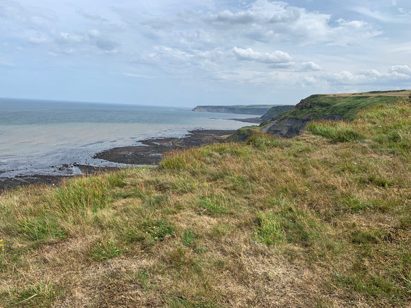 The coastal path to Runswick Bay