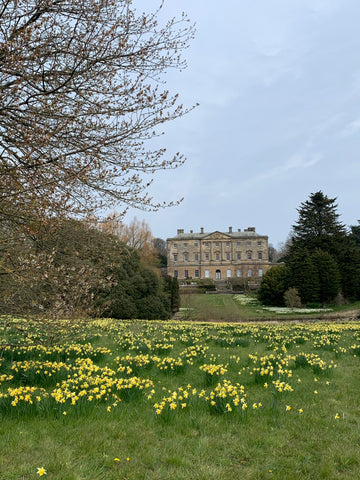 Howick Hall and Gardens in Spring