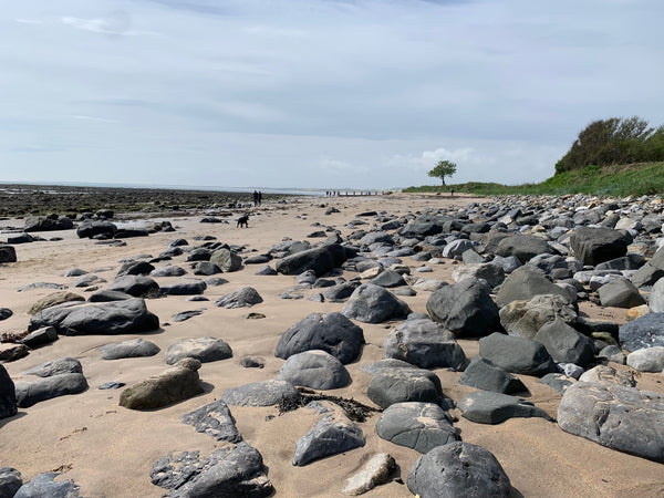 Alnmouth Beach